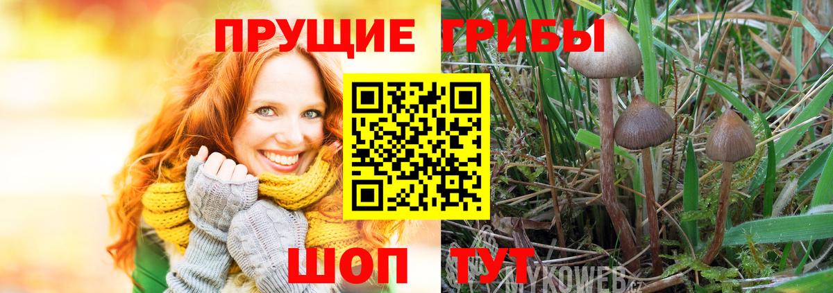 Галлюциногенные грибы Magic Shrooms Мценск