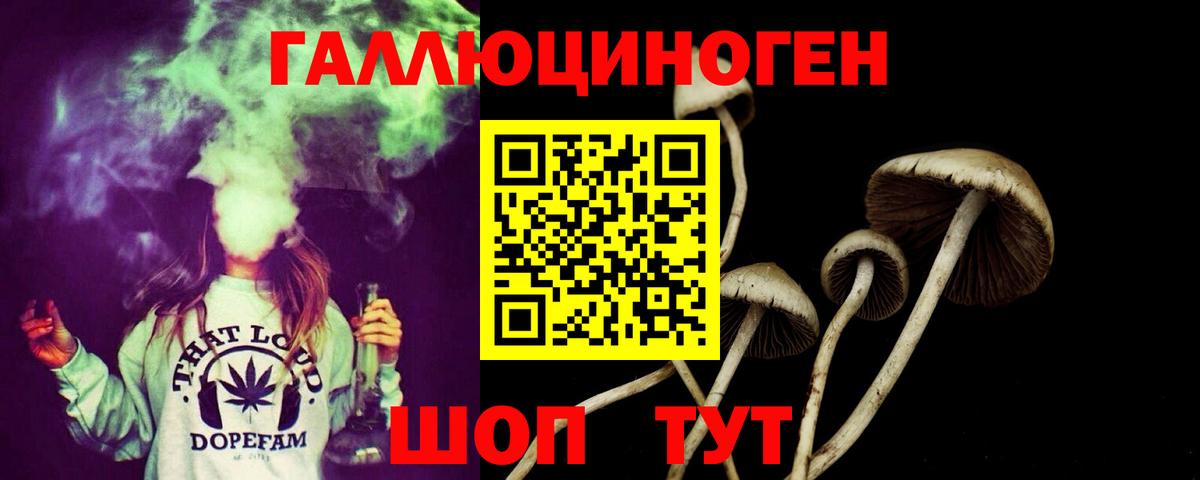 Галлюциногенные грибы Psilocybe  Вход с VPN  Мценск  Галлюциногенные грибы GOLDEN TEACHER 